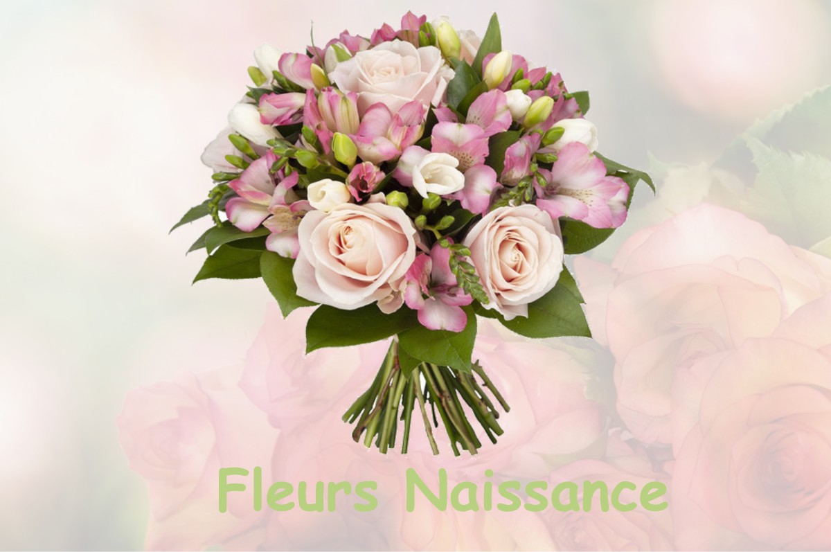 fleurs naissance BEDECHAN