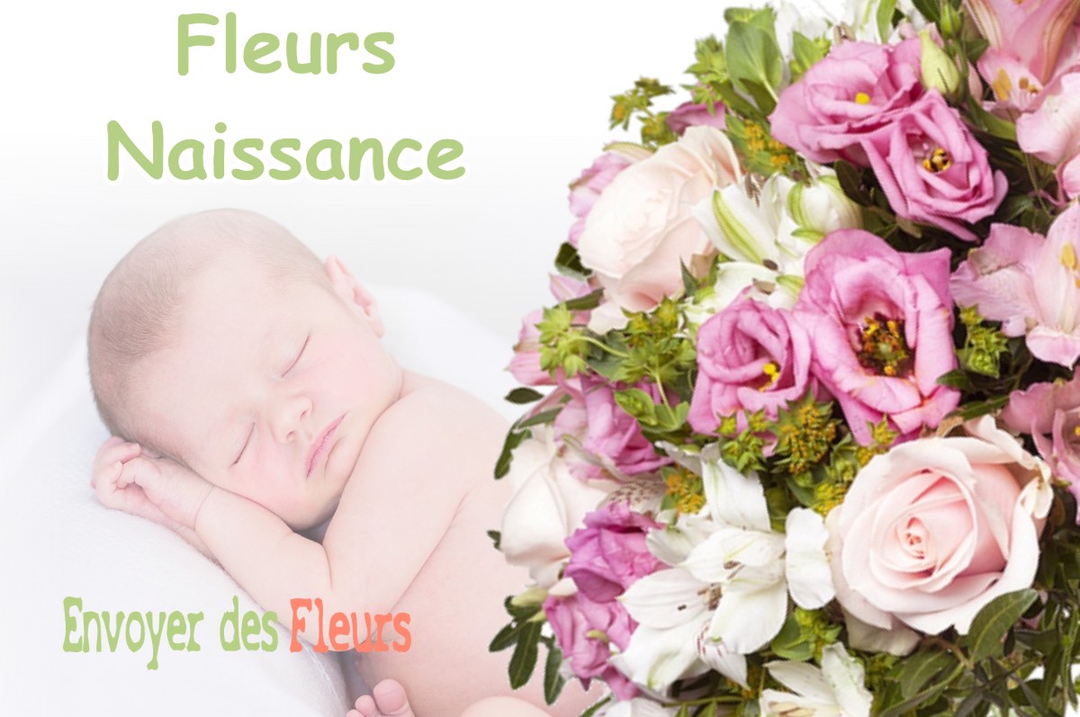 lIVRAISON FLEURS NAISSANCE à BEDECHAN